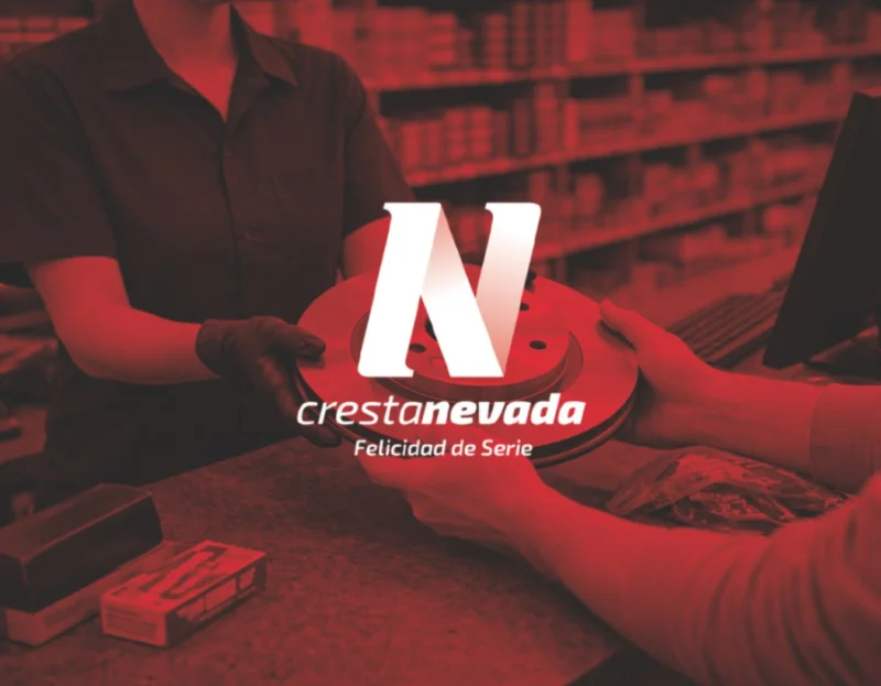 RECAMBISTA AUTOMOCIÓN