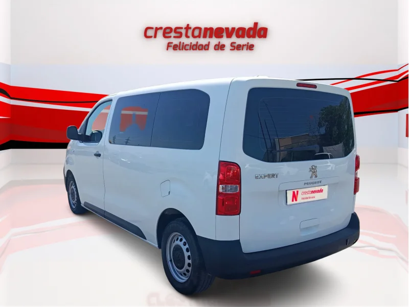 Imagen de Peugeot Expert