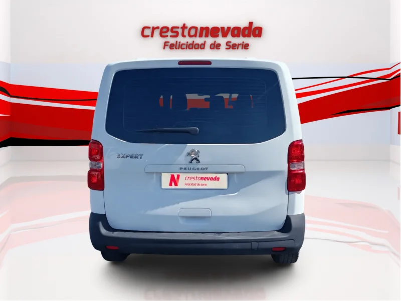 Imagen de Peugeot Expert