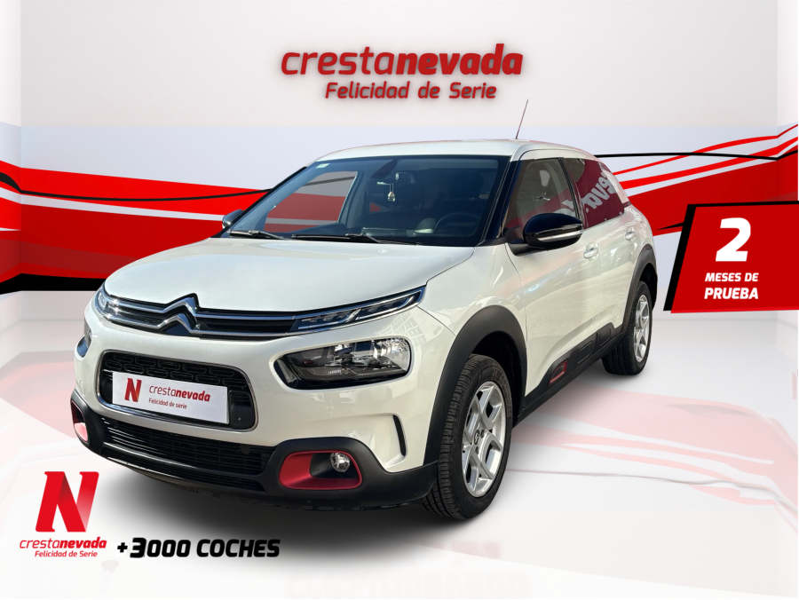 Imagen de CITROEN C4 Cactus