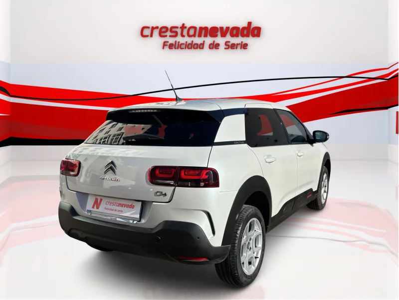 Imagen de CITROEN C4 Cactus
