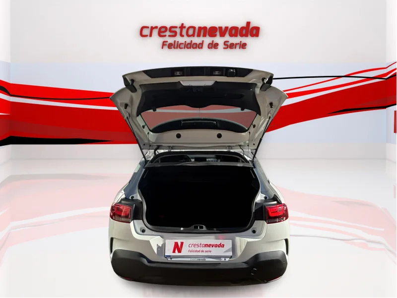 Imagen de CITROEN C4 Cactus