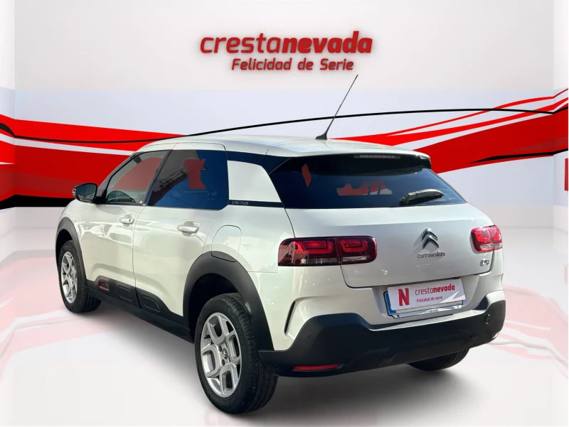 Imagen de CITROEN C4 Cactus