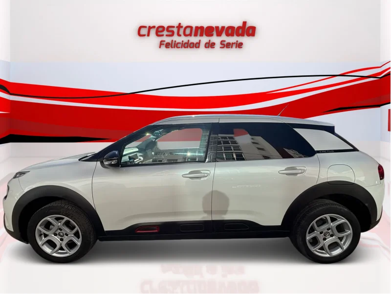 Imagen de CITROEN C4 Cactus