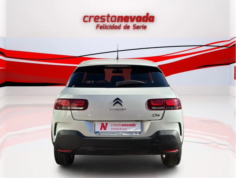 Imagen de CITROEN C4 Cactus