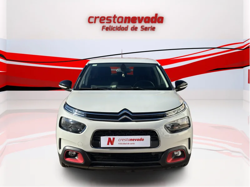 Imagen de CITROEN C4 Cactus