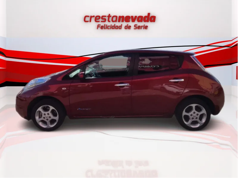 Imagen de NISSAN LEAF
