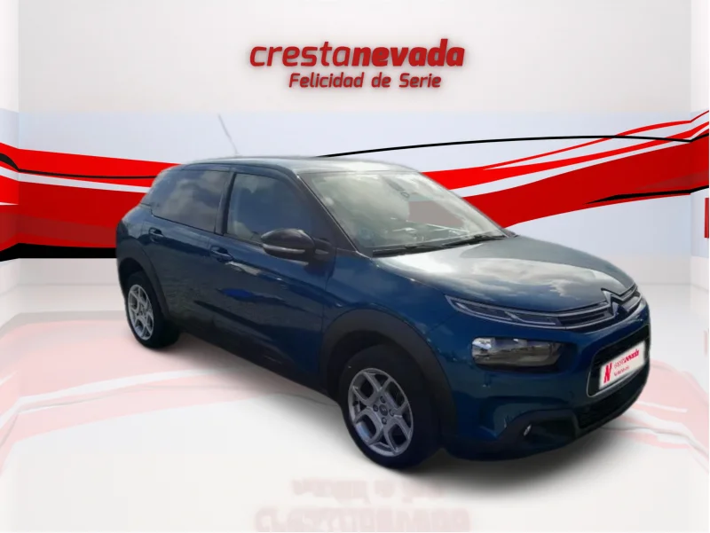 Imagen de CITROEN C4 Cactus