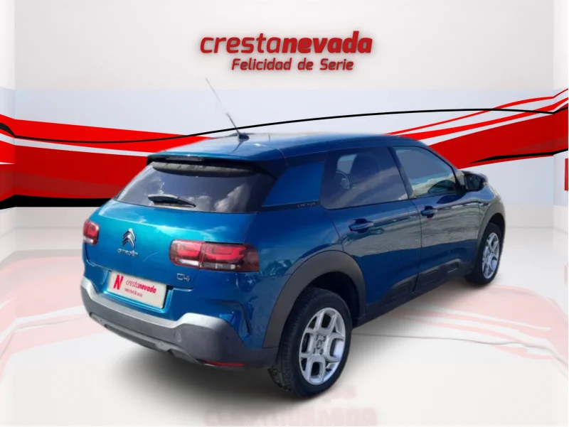 Imagen de CITROEN C4 Cactus