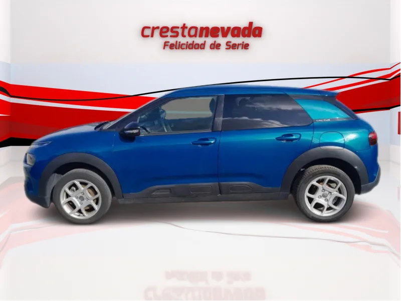 Imagen de CITROEN C4 Cactus