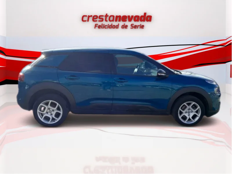 Imagen de CITROEN C4 Cactus