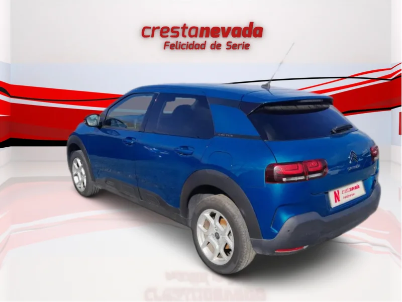Imagen de CITROEN C4 Cactus