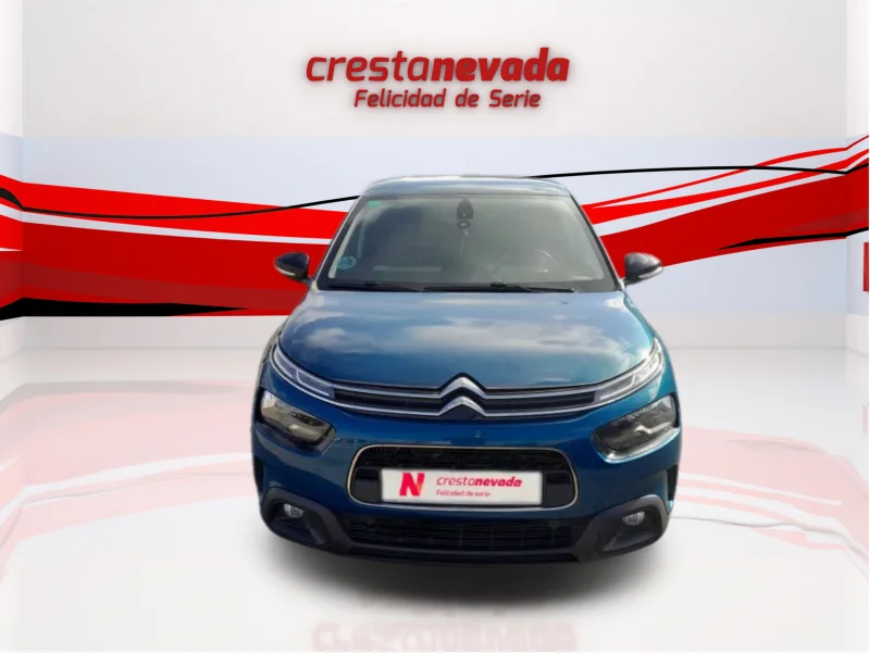 Imagen de CITROEN C4 Cactus