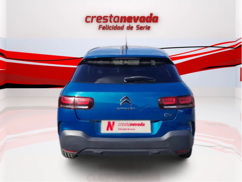 Imagen de CITROEN C4 Cactus