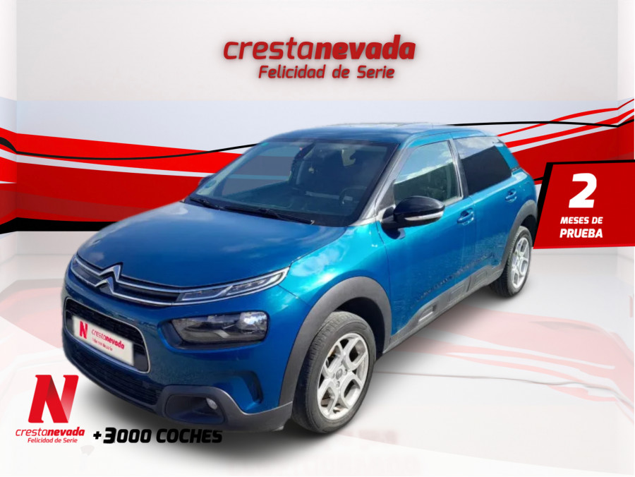Imagen de CITROEN C4 Cactus
