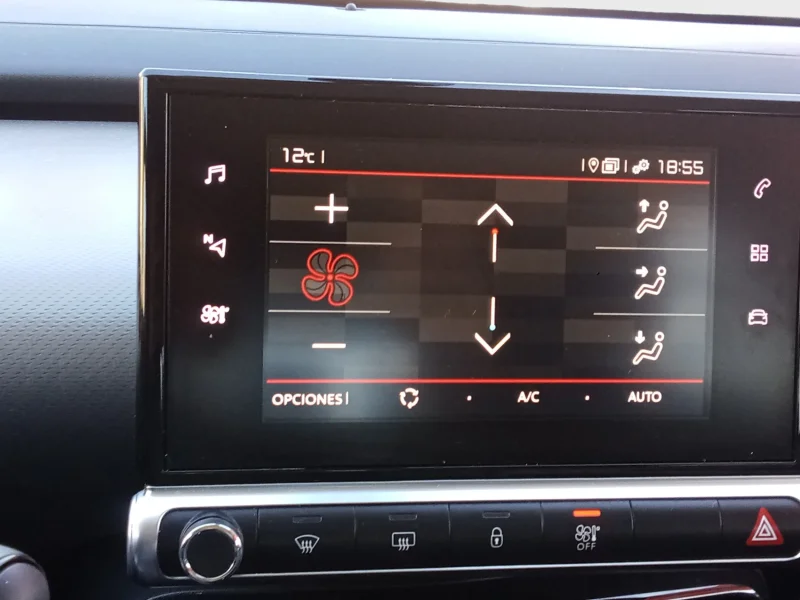 Imagen de CITROEN C4 Cactus