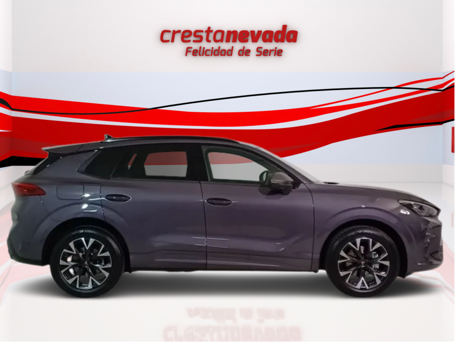Imagen de cupra Terramar