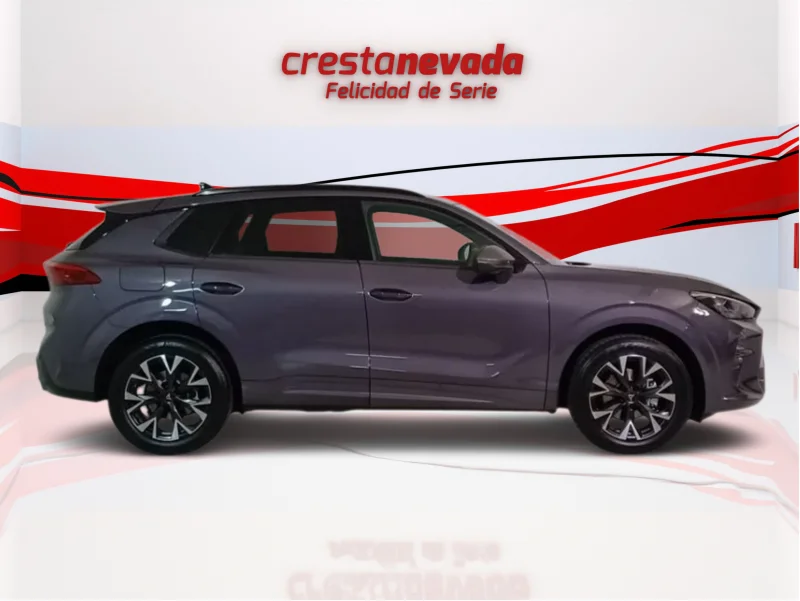 Imagen de cupra Terramar