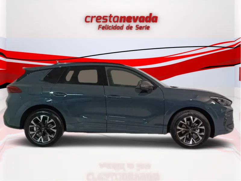 Imagen de cupra Terramar