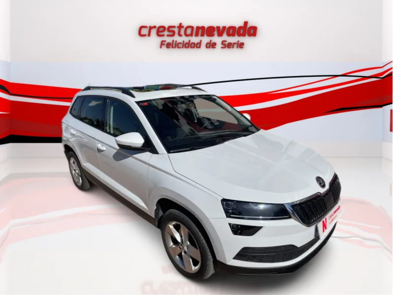 Imagen de Skoda Karoq