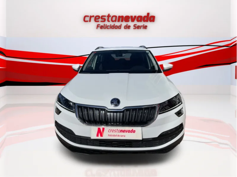 Imagen de Skoda Karoq