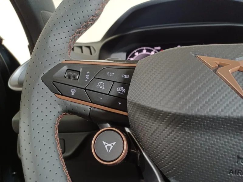 Imagen de cupra Terramar