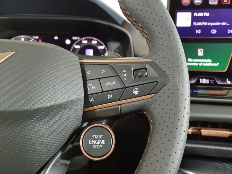 Imagen de cupra Terramar