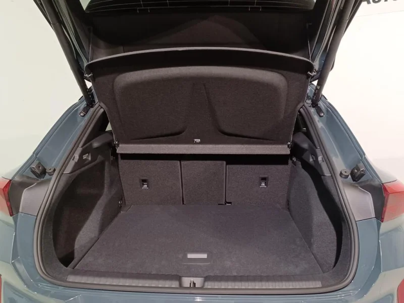 Imagen de cupra Terramar