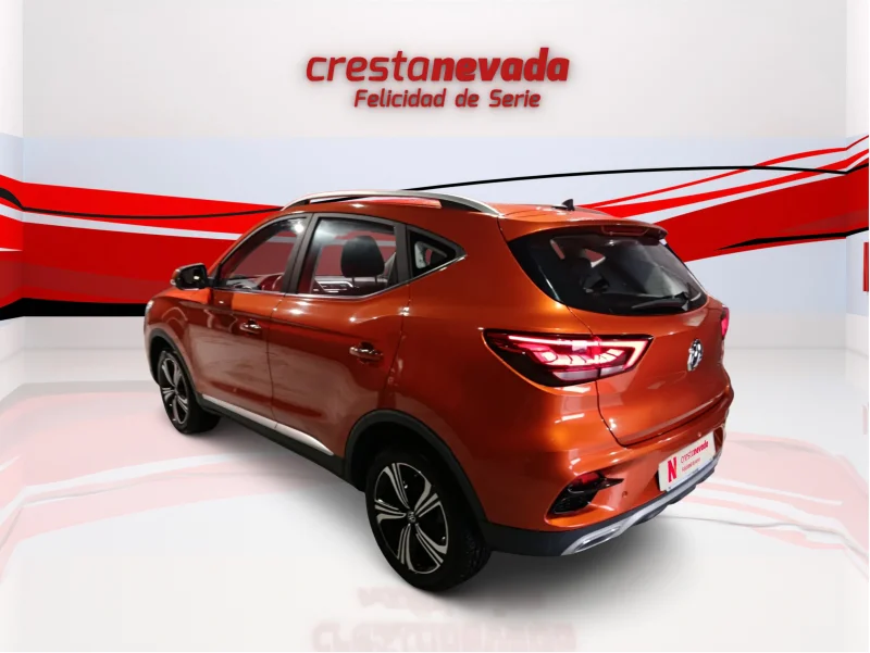 Imagen de Mg ZS