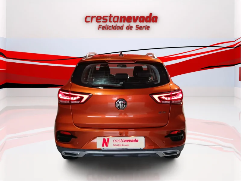 Imagen de Mg ZS