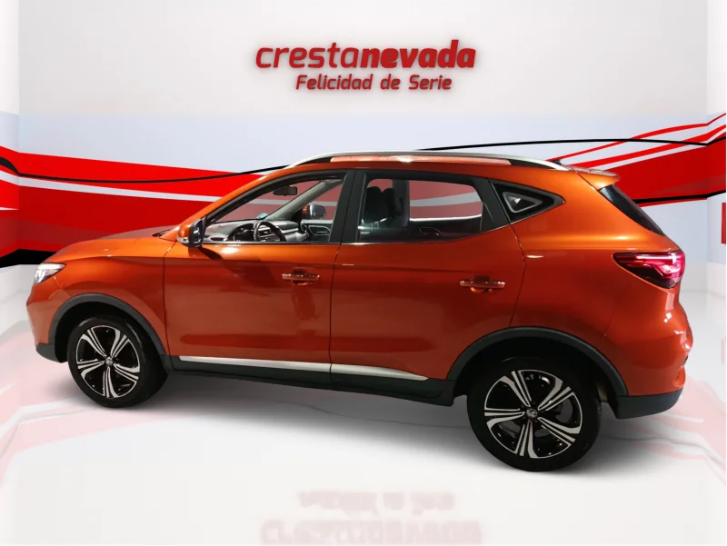 Imagen de Mg ZS