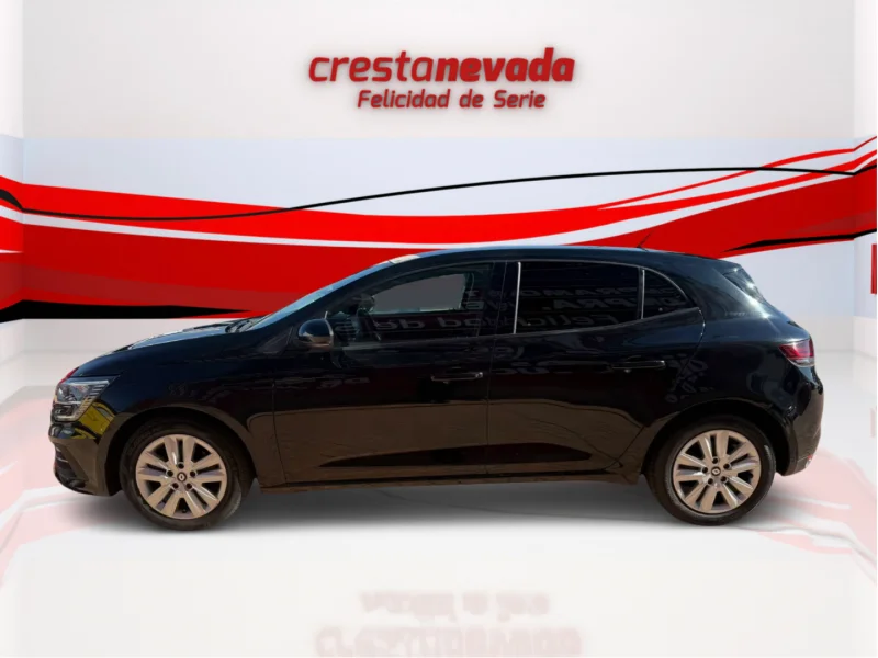 Imagen de Renault Mégane