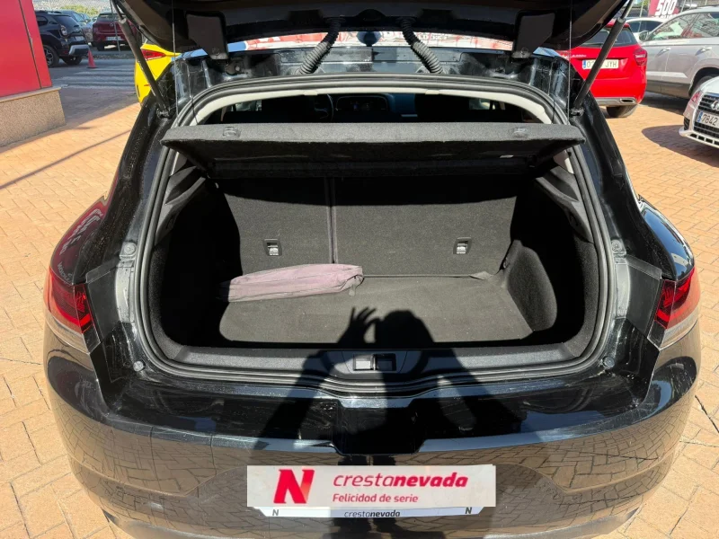 Imagen de Renault Mégane