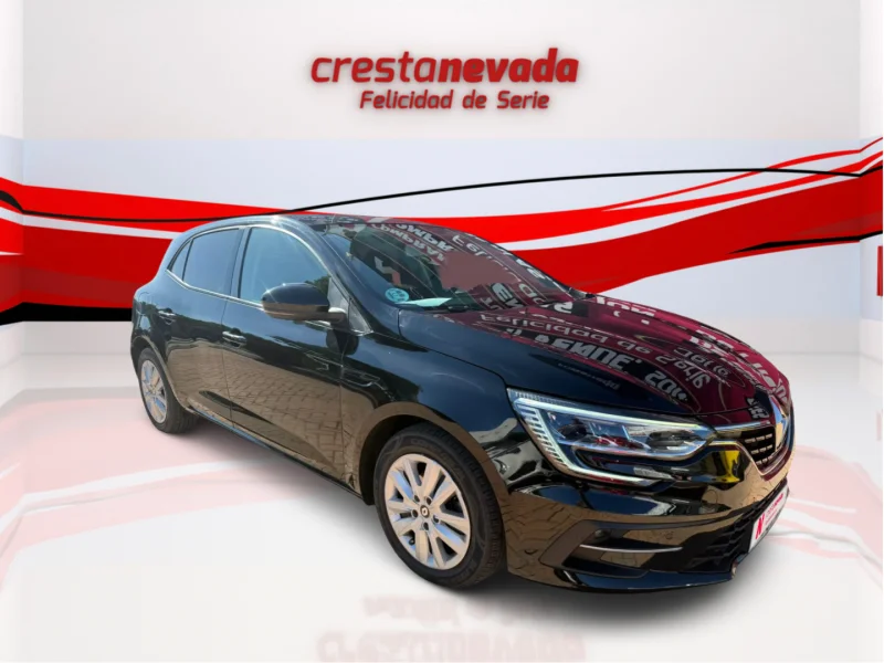 Imagen de Renault Mégane