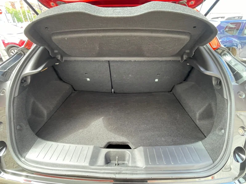 Imagen de NISSAN JUKE