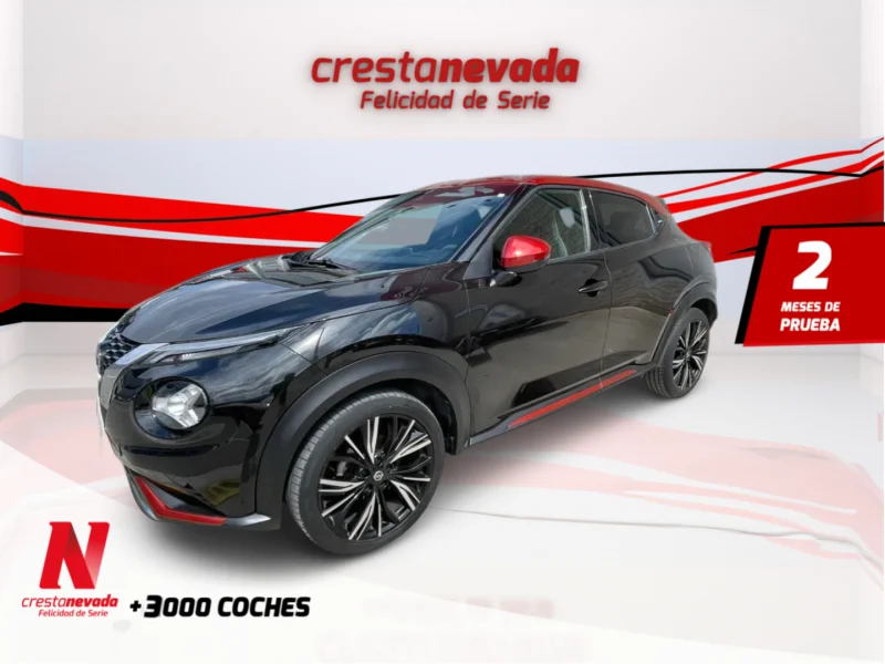 Imagen de NISSAN JUKE