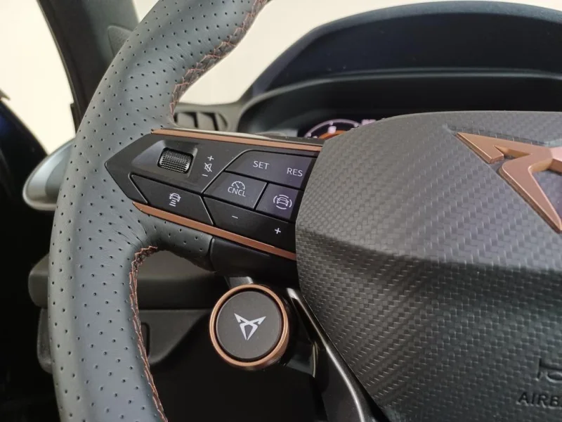 Imagen de cupra Terramar