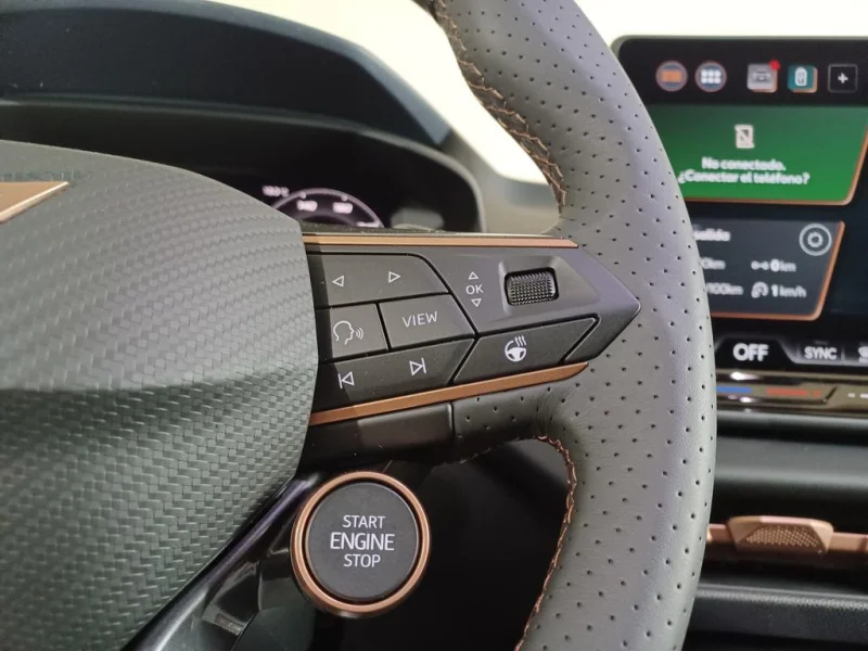 Imagen de cupra Terramar