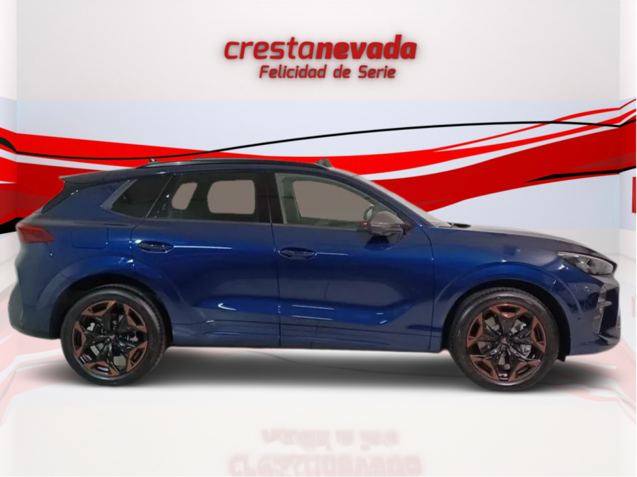 Imagen de cupra Terramar