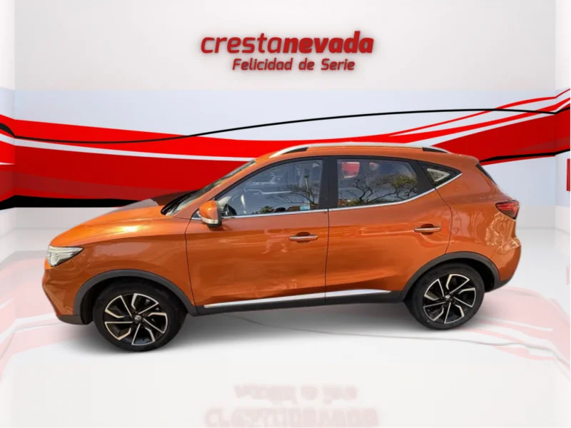 Imagen de Mg ZS