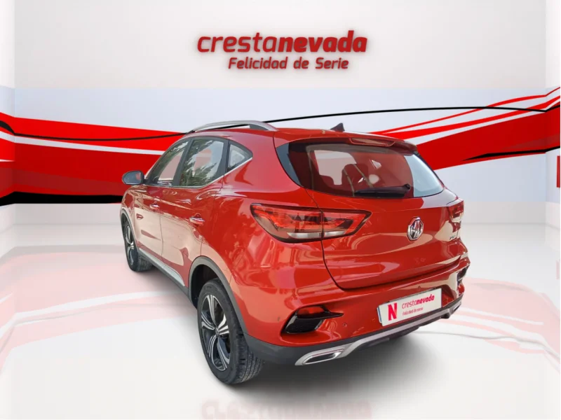 Imagen de Mg ZS