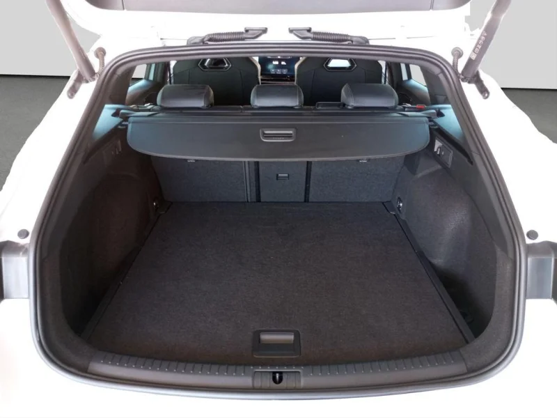 Imagen de cupra León