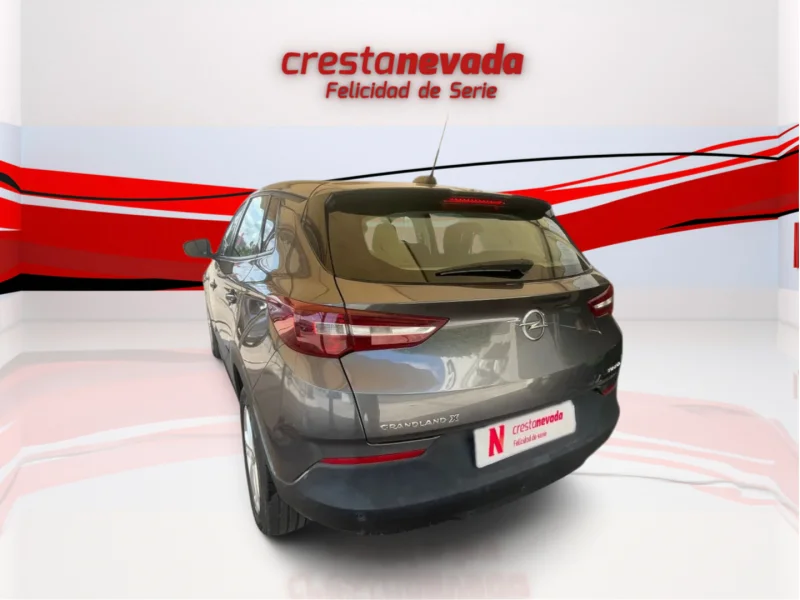Imagen de Opel Grandland X