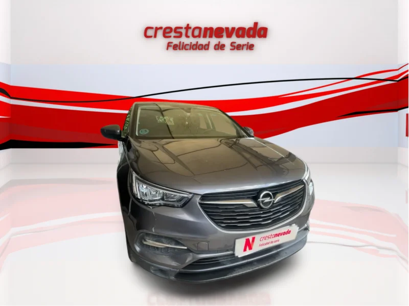Imagen de Opel Grandland X