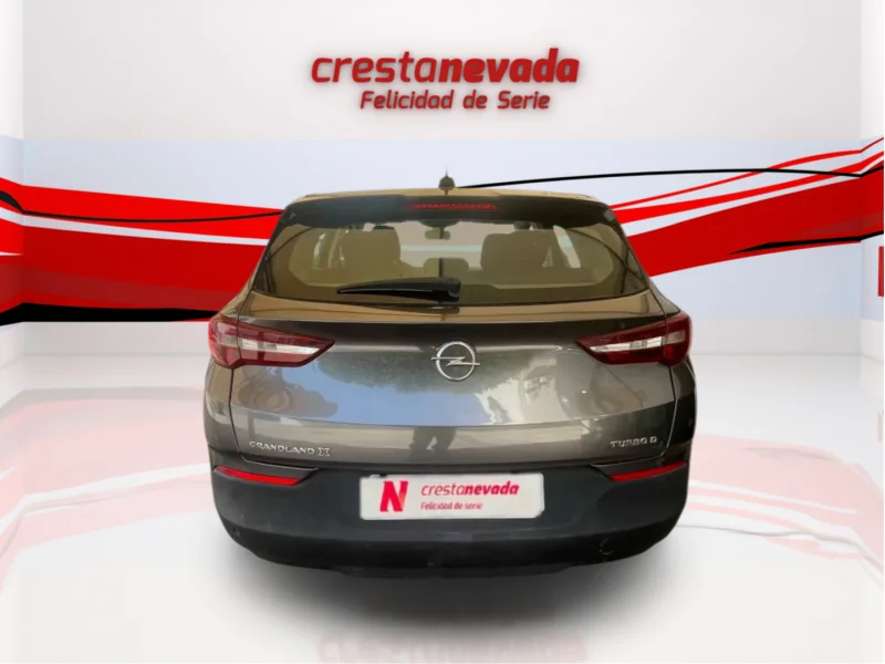 Imagen de Opel Grandland X