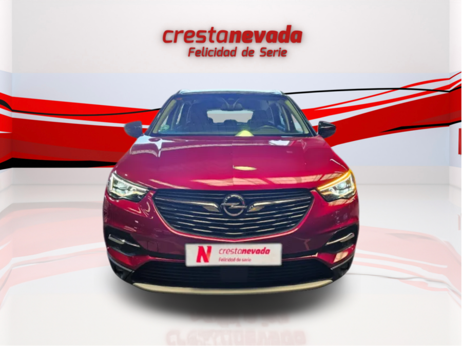 Imagen de Opel Grandland X