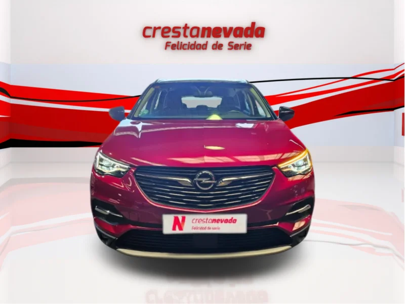 Imagen de Opel Grandland X