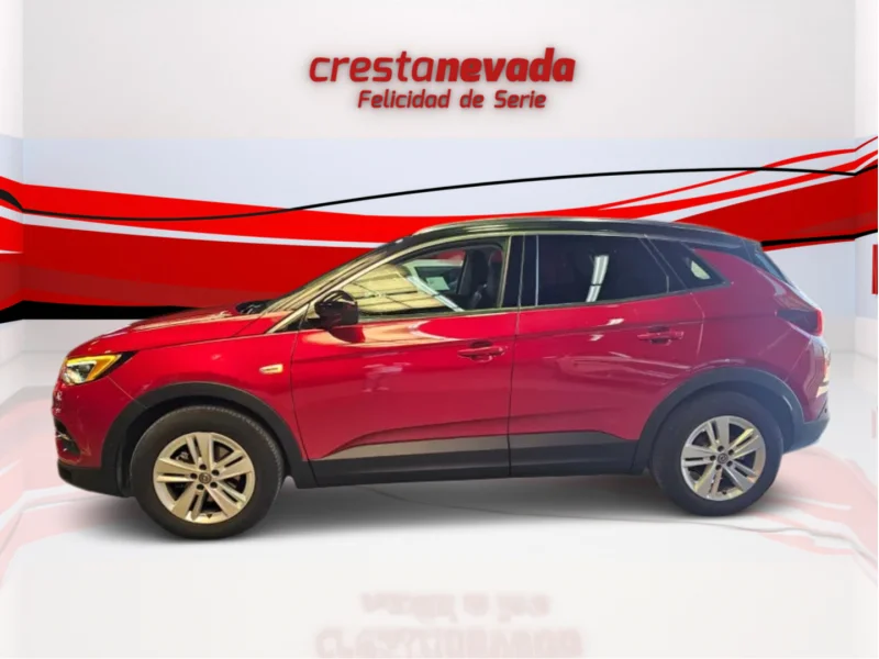 Imagen de Opel Grandland X