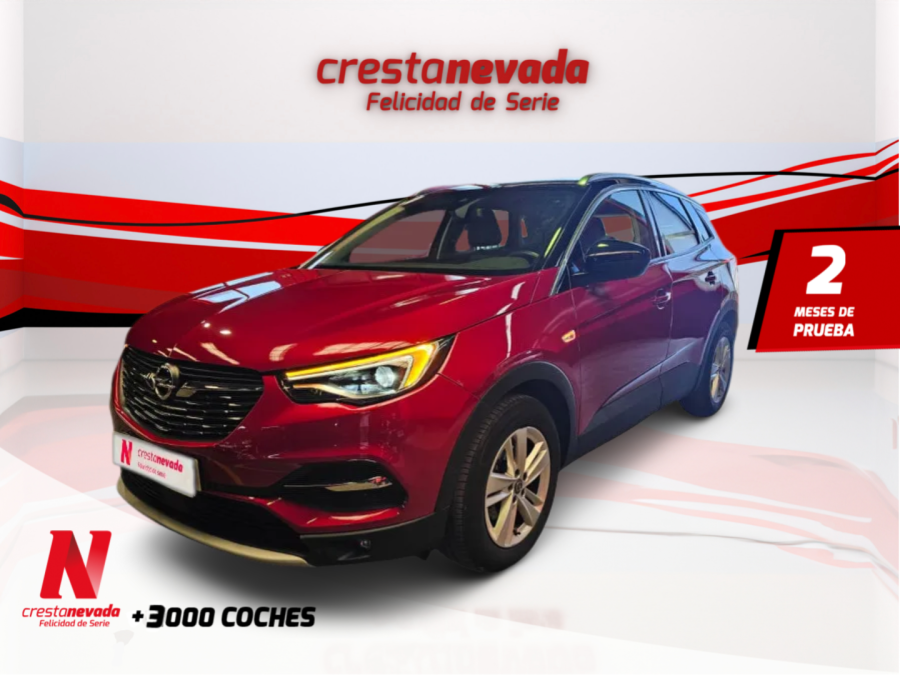 Imagen de Opel Grandland X