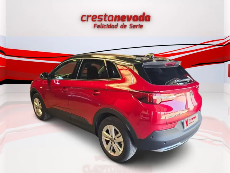 Imagen de Opel Grandland X